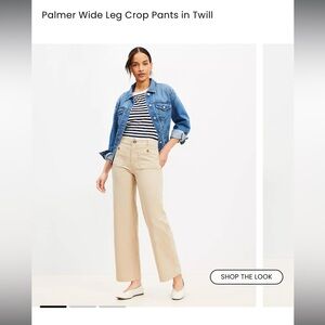 NWT-LOFT Palmer Wide Leg Crop Pants in Twill